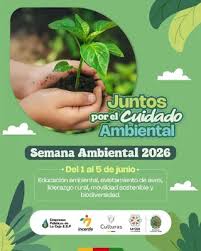 Categoria